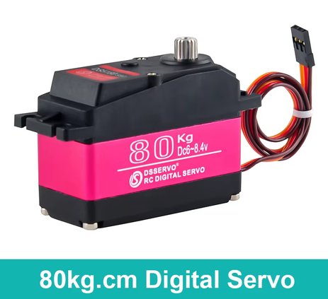 DSERVO — photo 3
